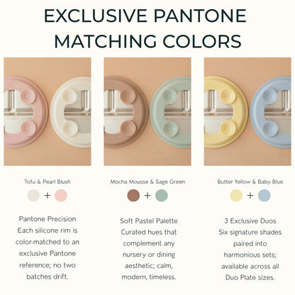 Stainless Steel Plate Set of 2 (Butter Yellow & Baby Blue)