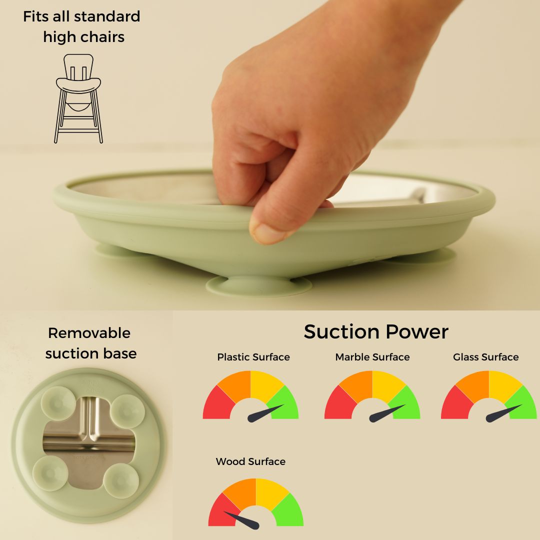 PRE ORDER! Stainless Steel Baby Feeding Set 18+ Months- Sage Green