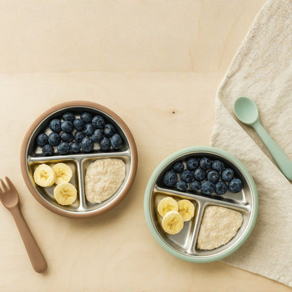 Stainless Steel Plate Set of 2 (Mocha Mousse & Sage Green)