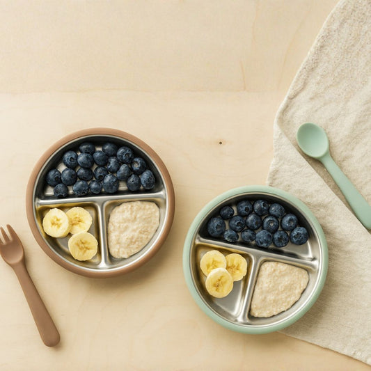 Stainless Steel Plate Set of 2 (Mocha Mousse & Sage Green)