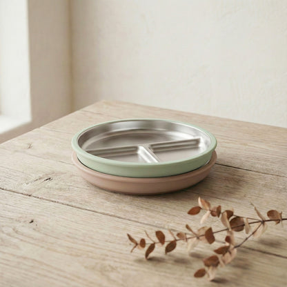 Stainless Steel Plate Set of 2 (Mocha Mousse & Sage Green)